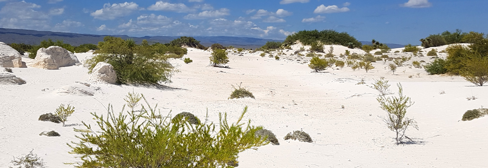 artesanías de sinaloa
